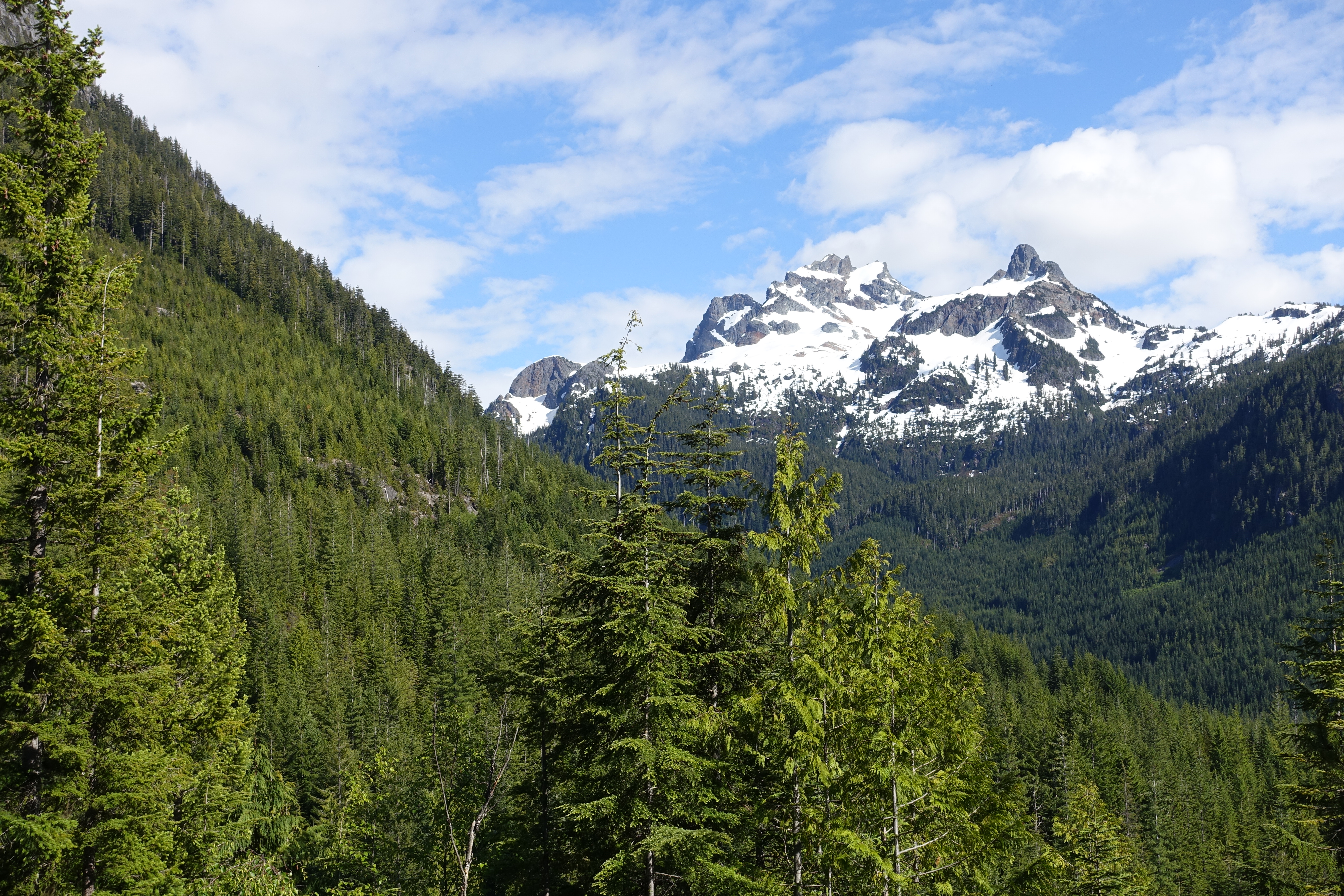 A full-size image example